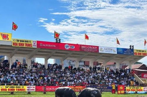 Hải Phòng khai hội chọi trâu truyền thống