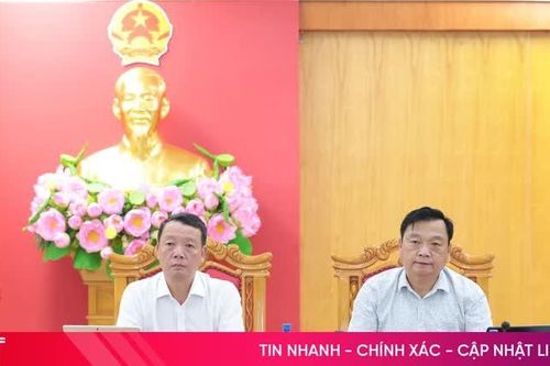 Chủ động phương án bảo vệ các công trình đê điều, hồ đập trọng điểm