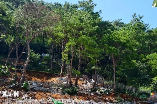 Hà Nội đã xử lý 5/6 vụ việc vi phạm đất rừng phòng hộ Sóc Sơn