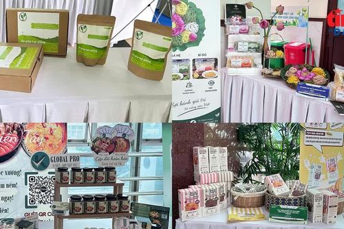 39 dự án khởi nghiệp xanh cùng tranh tài tại TP Hồ Chí Minh