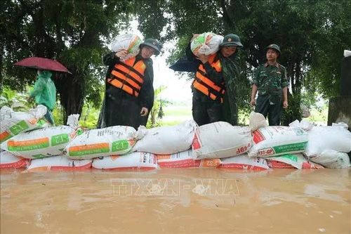 Hà Nội: Bác tin đồn vỡ đê tả Bùi