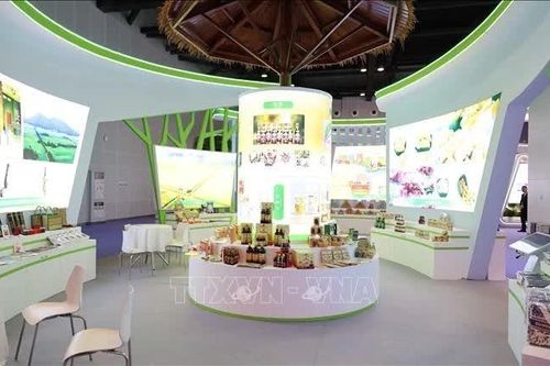 Doanh nghiệp Việt mở rộng cơ hội tại CAEXPO 2026