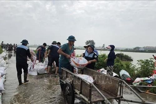 Nước sông Bùi vượt báo động 3, hàng trăm hộ dân phải di dời