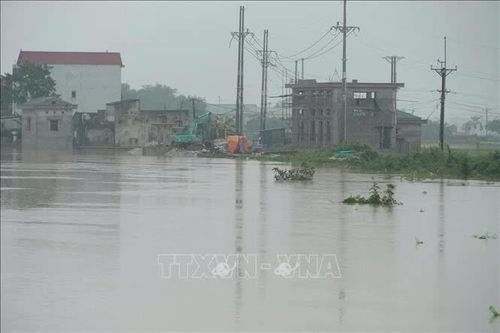 Nước sông Bùi vượt báo động 3, hàng trăm hộ dân phải di dời
