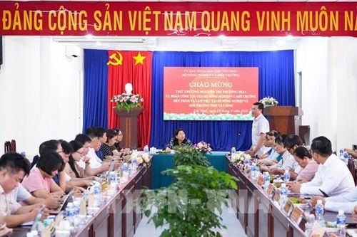 Tây Ninh và cuộc làm sạch dữ liệu đất đai sau hợp nhất