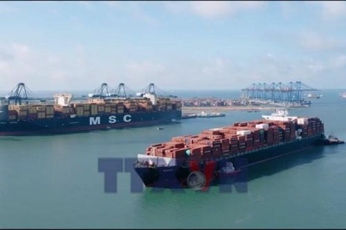 Nâng cao năng lực hệ thống cảng biển TP. Hồ Chí Minh