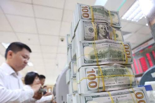 Tỷ giá ngoại tệ ngày 19/9: Giá USD ngân hàng duy trì vùng bán ra 26.210 VND/USD