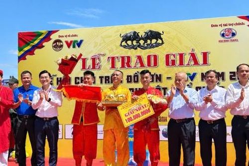 Sôi động vòng chung kết Lễ hội Chọi trâu truyền thống Đồ Sơn