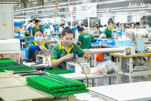 Hướng dẫn xác định dự án xanh, dự án tuần hoàn