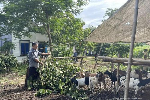 Thay đổi tư duy phát triển kinh tế vùng đồng bào dân tộc thiểu số