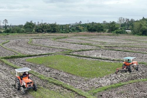 Điểm tựa kinh tế tập thể
