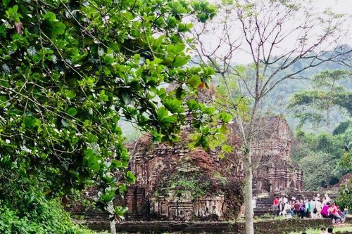 'Mỹ Sơn Xanh' kết nối trải nghiệm di sản với thiên nhiên