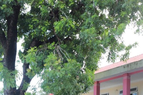 Đà Nẵng: Hơn 1.000 học sinh được hướng dẫn kỹ năng lái xe an toàn