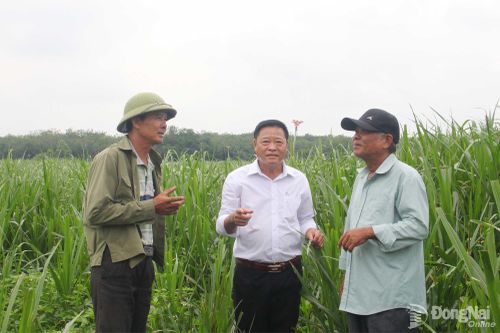 Chuyện lập nghiệp ở Chà Rang