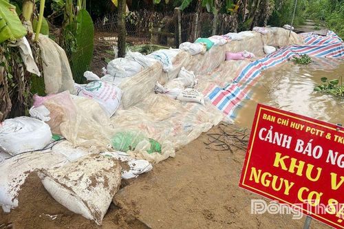 Chủ động bảo vệ sinh kế trước mùa lũ