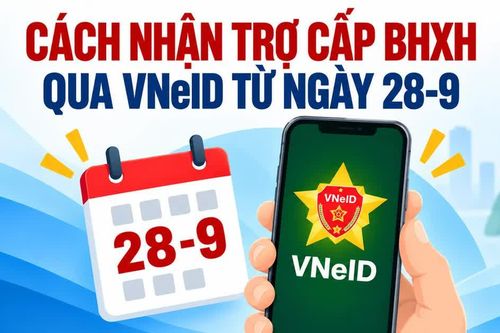 Infographic Cách nhận trợ cấp BHXH qua VNeID từ ngày 28-9-2016
