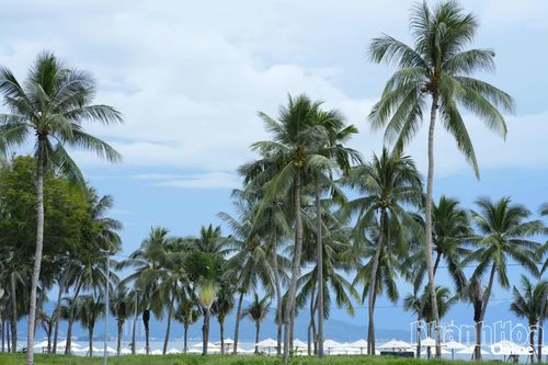 ​​​​​​​Mùa thu đến với biển