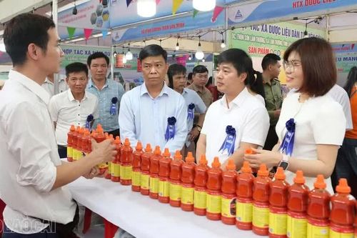 Lào Cai chuẩn bị tổ chức Hội nghị xúc tiến đầu tư, thương mại lĩnh vực nông nghiệp năm 2026
