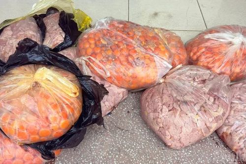 Phát hiện 2 đối tượng giả làm khách du lịch vận chuyển 24 kg trứng gà non nhập lậu qua biên giới
