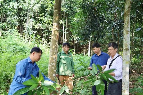 Xã Phúc Khánh: Đa dạng sinh kế, nâng thu nhập để giảm nghèo bền vững