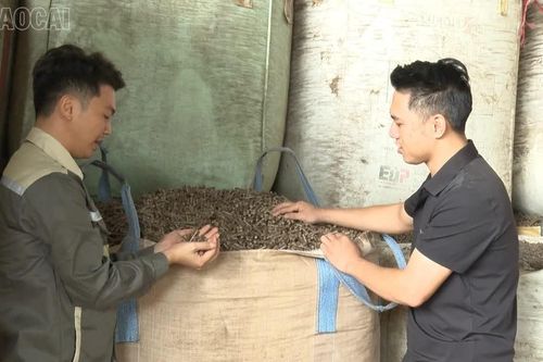 Người biến rác lâm sản thành viên nén gỗ