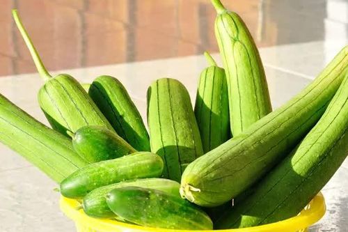Giá cả thị trường ngày 19 / 9/2026