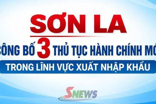 Sơn La công bố 3 thủ tục hành chính mới trong lĩnh vực xuất nhập khẩu