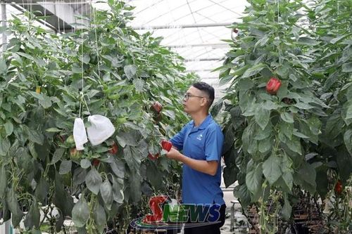 Nông nghiệp Sơn La: Thay đổi từ canh tác đến chế biến sâu