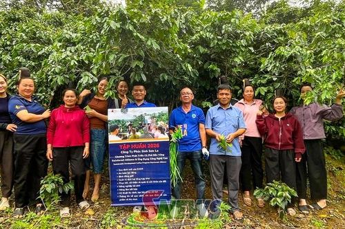 Bước chuyển đổi xanh, để nâng cao sức cạnh tranh