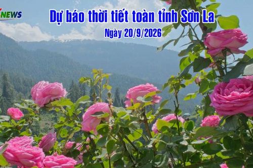 Dự báo thời tiết toàn tỉnh Sơn La ngày 20/9/2026