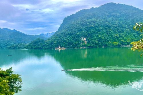Tăng cường bảo vệ các nguồn gen quý hiếm