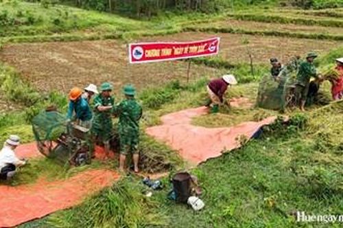 'Ngày về thôn bản' giúp dân thu hoạch lúa ở Cưr Xo