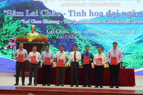 Liên kết 4 nhà, nâng giá trị sâm Lai Châu