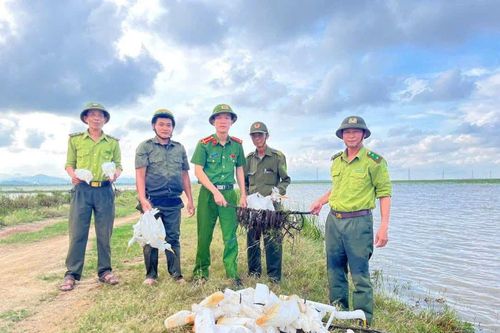 Quảng Trị: Nỗ lực trả lại sự bình yên cho "chim trời" ở Lệ Thủy