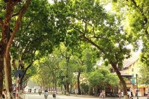 Dự báo thời tiết ngày 19/9: Miền Bắc có nắng, miền Trung mưa lớn dồn dập