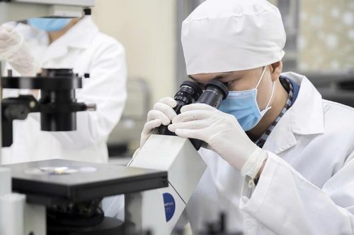 Sáu nhóm giải pháp phát triển nguồn nhân lực chất lượng cao: Từ chính sách đến sử dụng nhân tài