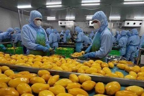 Xuất siêu nông lâm thủy sản đạt hơn 14 tỷ USD