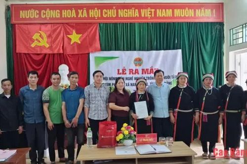 Giải ngân 500 triệu đồng hỗ trợ dự án trồng dâu nuôi tằm tại xã Nam Quang