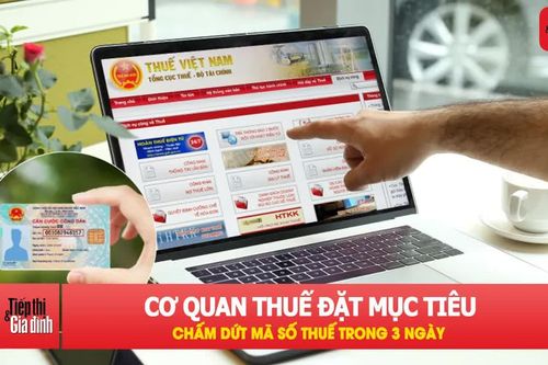 Chấm dứt hiệu lực mã số thuế chỉ trong 3 ngày