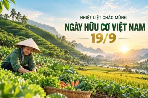 Ngày Hữu cơ Việt Nam 19/9: Hành trình vun đắp niềm tin và giá trị bền vững