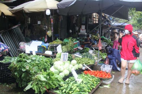 Giá rau xanh ở Hà Nội tăng vọt sau mưa lớn kéo dài