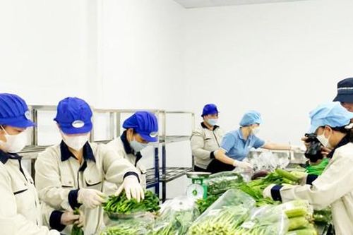 Khẩn trương hoàn thiện 8 dự án luật, nghị quyết để khơi thông nguồn lực phát triển