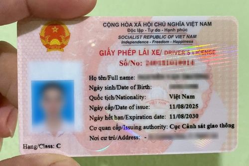 Các hạng giấy phép lái xe mới nhất 2026, có điểm gì mới mà các tài xế cần lưu ý