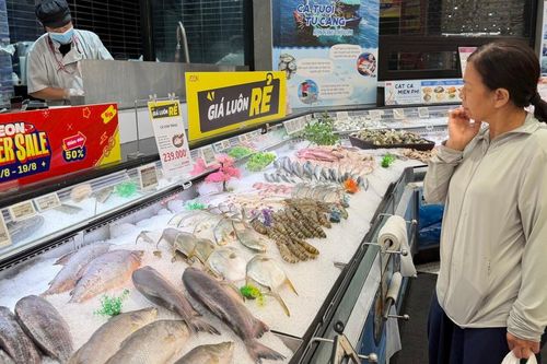 Loại cá dân dã của Việt Nam có gì đặc biệt mà được thị trường quốc tế 'săn đón' đến vậy?