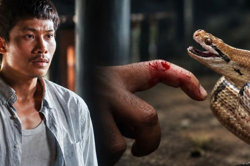Bị rắn cắn trong lúc quay phim, diễn viên Phương Nam sức khỏe hiện ra sao?