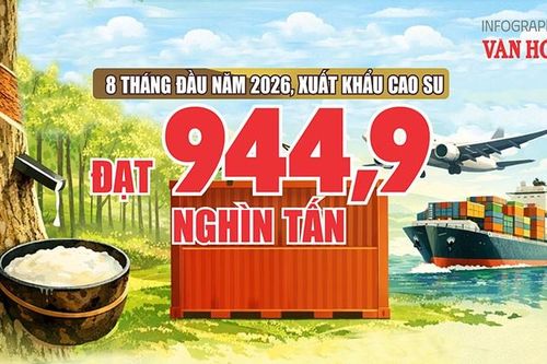 944,9 nghìn tấn cao su xuất khẩu: Bán ít hơn, giá vẫn tăng 12,2%
