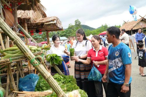 Quảng Ngãi: Ba Vì đưa nông sản vùng cao vào chợ phiên, kết nối với du lịch