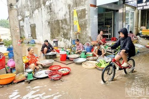 Vĩnh Long chủ động ứng phó triều cường sớm