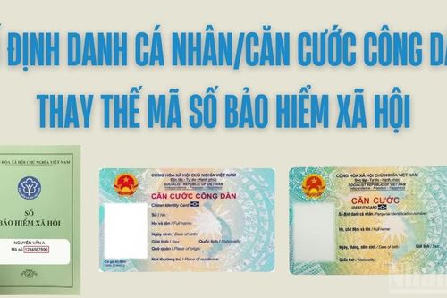 Khai báo số định danh/căn cước công dân trên hồ sơ đề nghị hưởng chế độ bảo hiểm xã hội