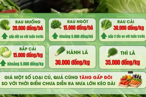 [Video] Giá nhiều loại rau xanh tại Hà Nội tăng mạnh sau mưa lớn kéo dài